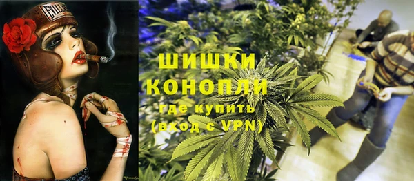 спайс Алексин