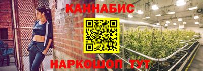 ECSTASY Гатчина