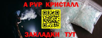 ECSTASY Гатчина