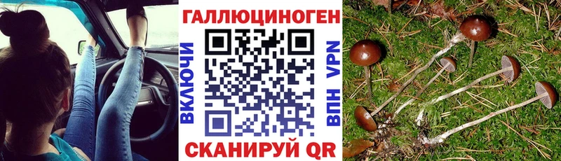mega ссылка  купить  цена  Набережные Челны  Галлюциногенные грибы Magic Shrooms 