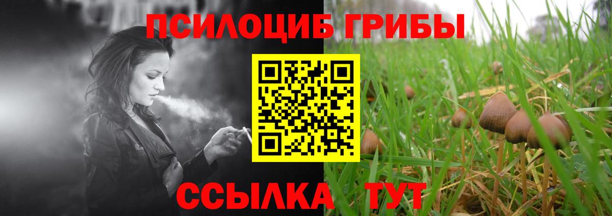 купить наркоту  Галлюциногенные грибы Psilocybine cubensis  Набережные Челны  Вход с VPN  Псилоцибиновые грибы мицелий 